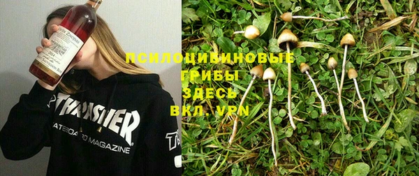PSILOCYBIN Богородск